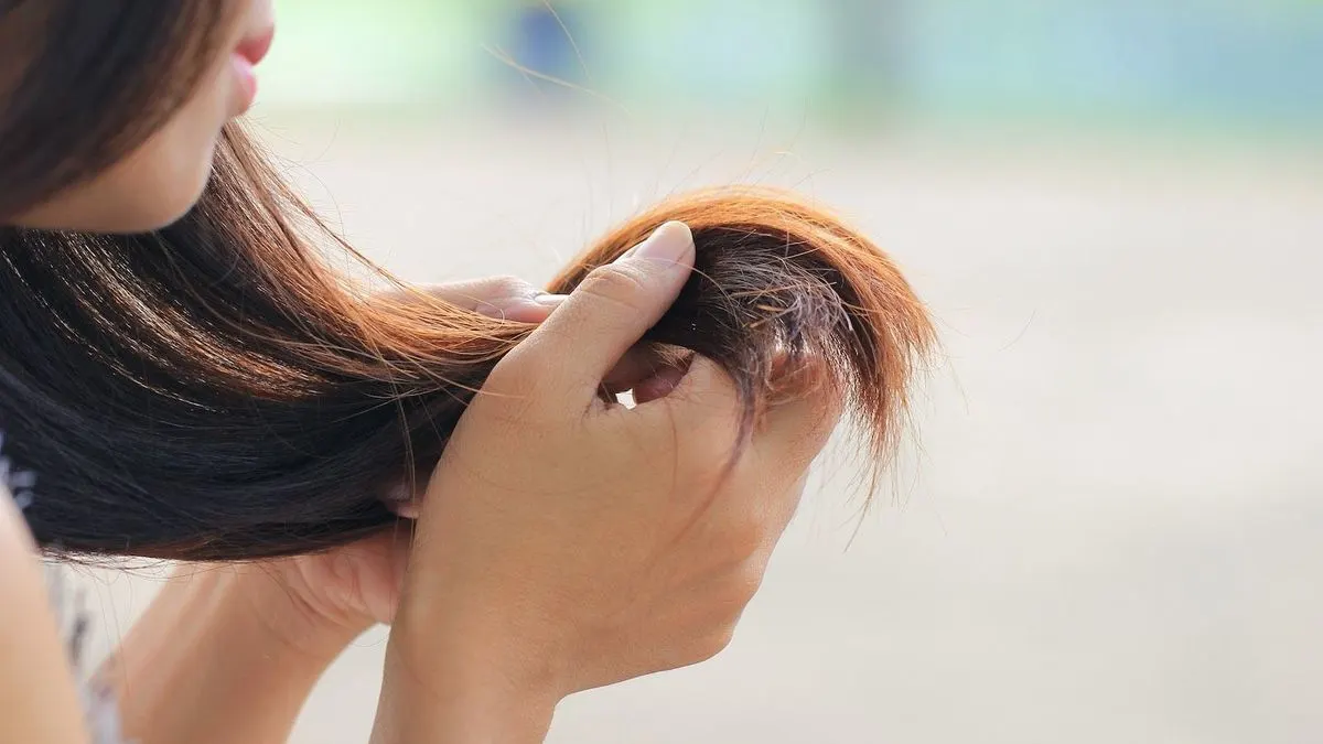 Hände halten einen Strang braunes Haar mit rötlich-braunen Spitzen, einige Strähnen stehen ab. Heller, unscharfer Hintergrund.