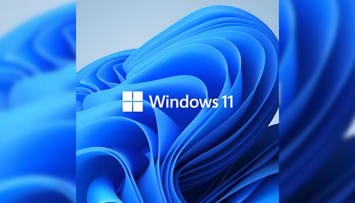 Windows 11
