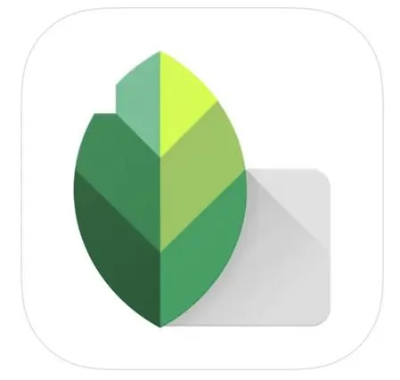 Grünes Blatt Icon für die App Snapseed.
