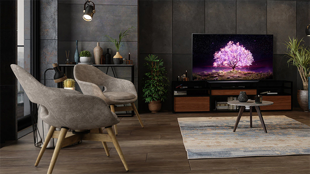 Ein Wohnzimmer mit zwei Stühlen, einem Tisch, einem Fernsehgerät und Pflanzen vor einer grauen Wand.