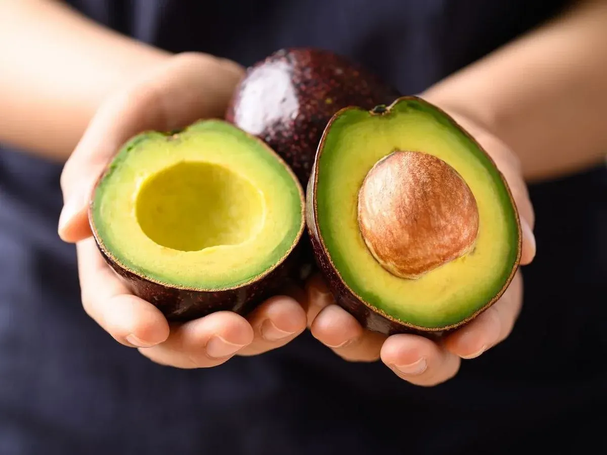 Avocado-Rezepte für den Alltag