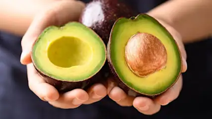 Avocado-Rezepte für den Alltag