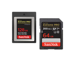 Product image of category SanDisk