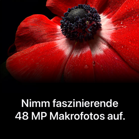 Nahaufnahme einer roten Anemone mit dunklem Zentrum vor schwarzem Hintergrund. Text: "Nimm faszinierende 48 MP Makrofotos auf."