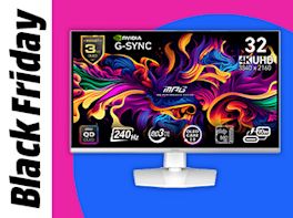 Ein Monitor vor farbigem Kreis in Pink und Blau. Links im Bild steht: Black Friday.