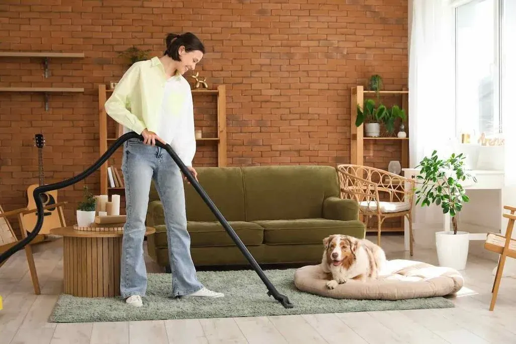 Frau reinigt Wohnzimmer mit Staubsauger, Hund liegt auf Hundebett neben Sofa