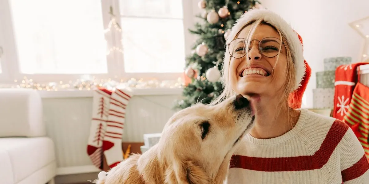 Hund schleckt das Gesicht einer Person vor einem festlich geschmückten Weihnachtsbaum