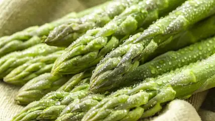 Frischer grüner Spargel mit Wassertropfen auf hellem Leinenstoff, nahaufgenommen