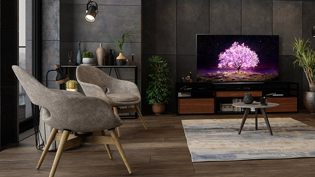 Ein Wohnzimmer mit zwei Stühlen, einem Fernseher, einem Teppich und Pflanzen.