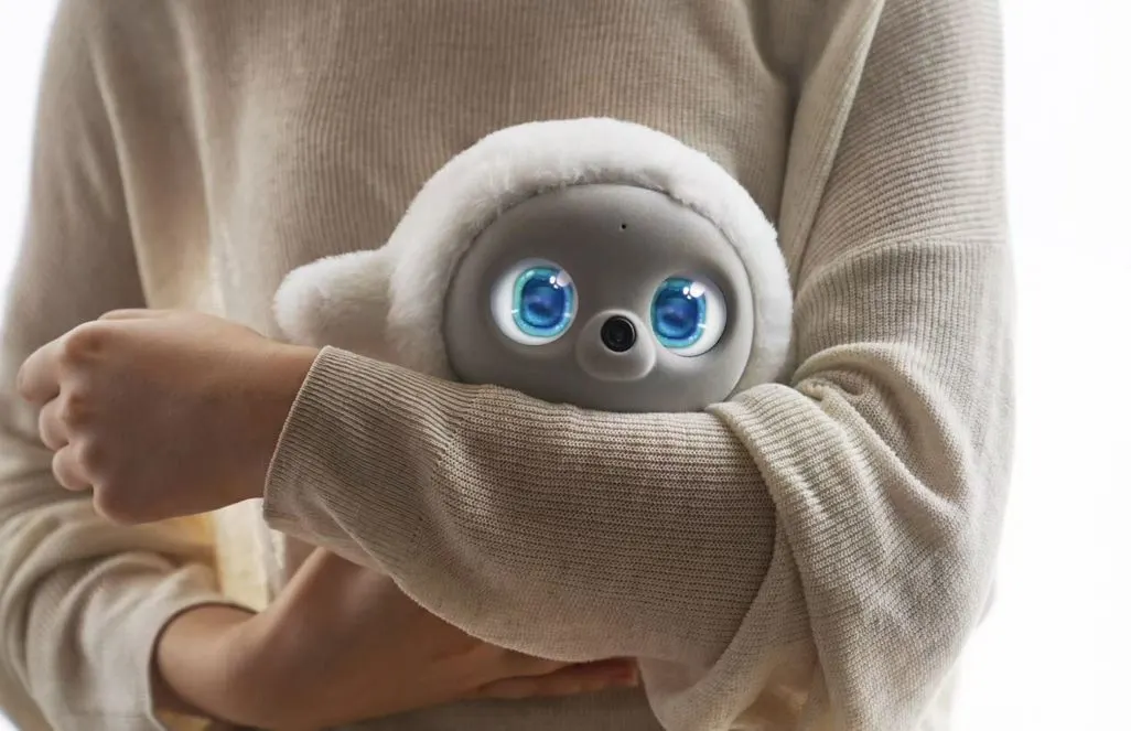 Eine Person hält einen runden, weißen Roboter mit großen blauen Augen im Arm.