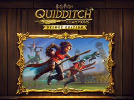 Product image of category Harry Potter: Quidditch Champions