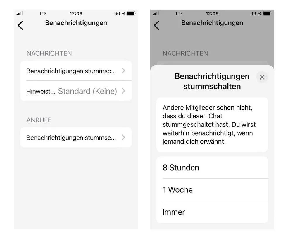 Screenshot eines Handy-Menues mit der Option Benachrichtigungen stummzuschalten