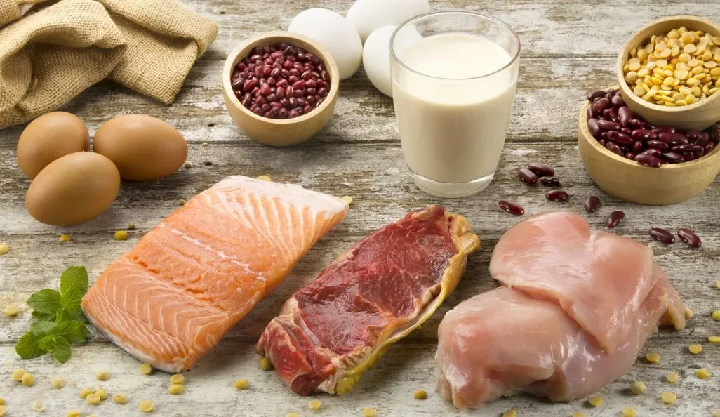 Verschiedene eiweißreiche Lebensmittel wie Lachs, Rindfleisch, Huhn, Eier, Milch