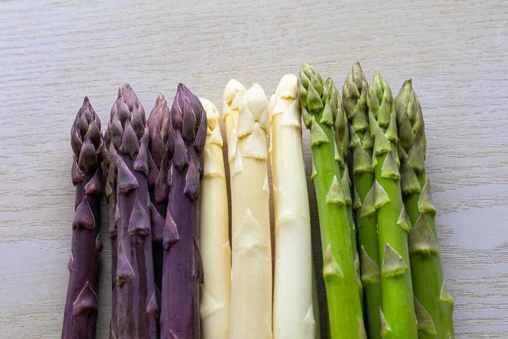 Spargel in grün, weiß und rot