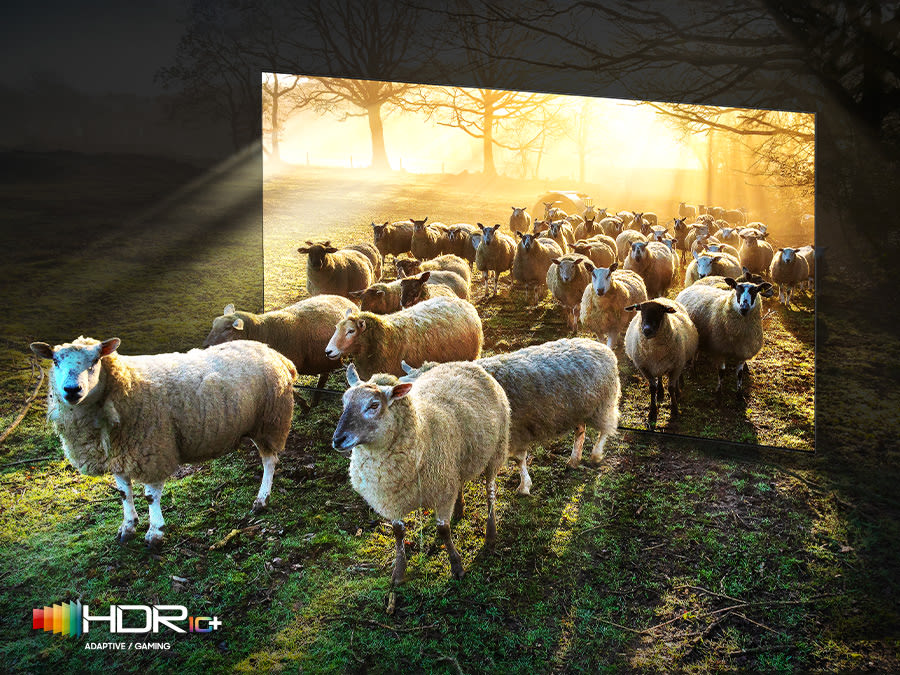 Quantum HDR