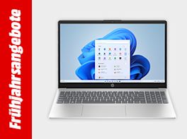 Bild mit hellgrauem Hintergrund und einem roten Streifen links und weißem Text "Frühjahrsangebote"; rechts im Bild ein Notebook