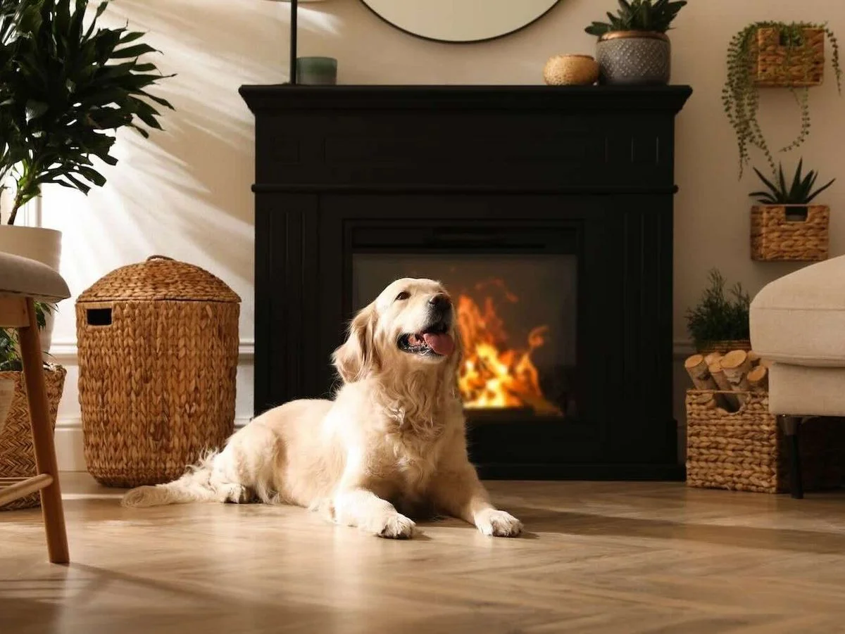 Hund genießt die Wärme vor dem Elektrokamin mit Heizung.