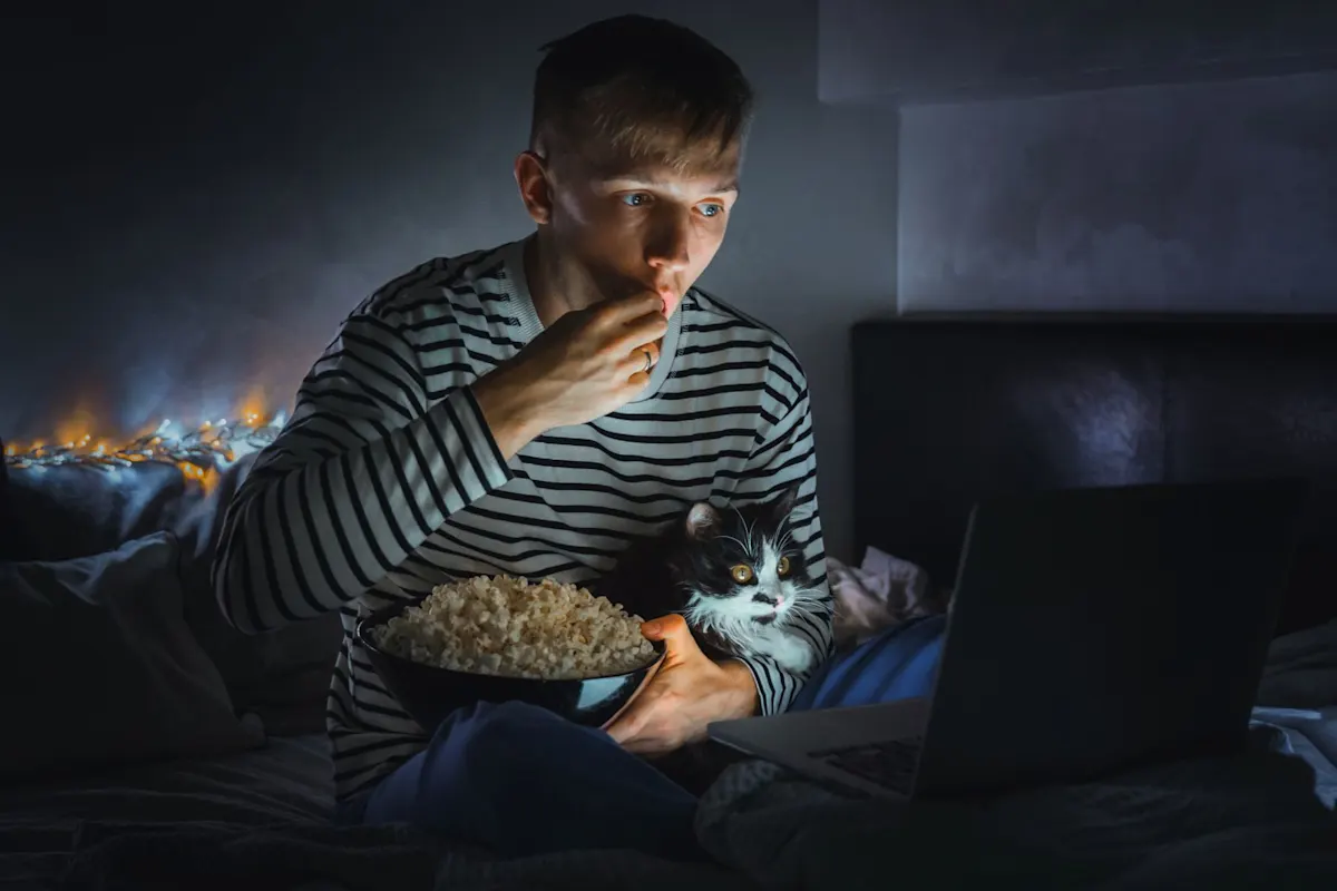 Ein junger Mann sitzt im Dunkeln im Bett, schaut gebannt auf den Bildschirm seines Laptops und isst Popcorn aus einer Schüssel, die er zusammen mit einer schwarz-weißen Katze im Arm hält. Das Gesicht des Mannes wird vom Bildschirmlicht angestrahlt.