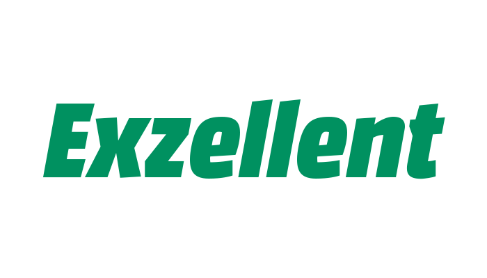 Grüner "Exzellent"-Text auf weißem Hintergrund.