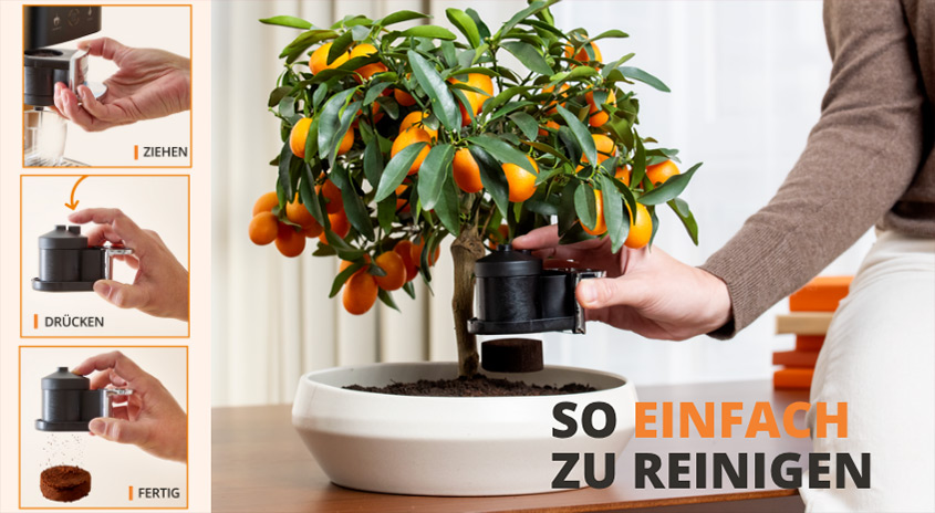 Hand befüllt Kaffeemaschinen-Kapsel über Orangenbäumchen. Anleitung: ZIEHEN, DRÜCKEN, FERTIG. SO EINFACH ZU REINIGEN. Krups Kapselmaschine.