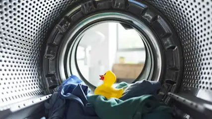 Bild einer Gummi Ente in einer Waschtrommel