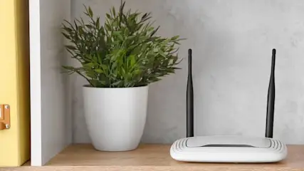 Weißer Router mit schwarzen Antennen auf Holzregal. Daneben eine grüne Topfpflanze in weißem Topf vor grauer Wand. Links ein gelber Ordner.