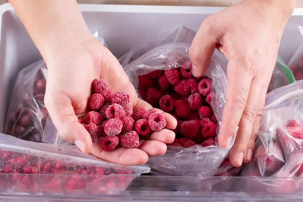 Hände entnehmen gefrorene Himbeeren aus einem Gefrierbeutel in einer Gefriertruhe mit mehreren abgepackten Beerenfrüchten.