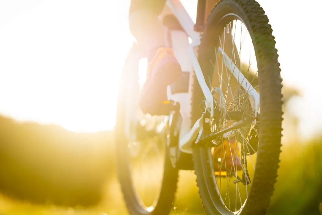 Nahaufnahme von einem Mountainbike im Gegenlicht bei Sonnenuntergang