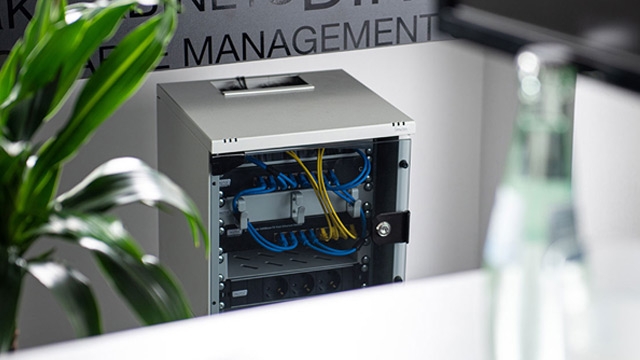 Ein Servergehäuse mit blauen und gelben Kabeln steht neben einer Pflanze. Im Hintergrund steht "MANAGEMENT".
