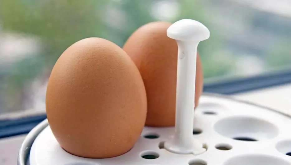 Zwei braune Eier stehen in einem Einsatz eines elektrischen Eierkochers, im Hintergrund unscharfe Fensteransicht.