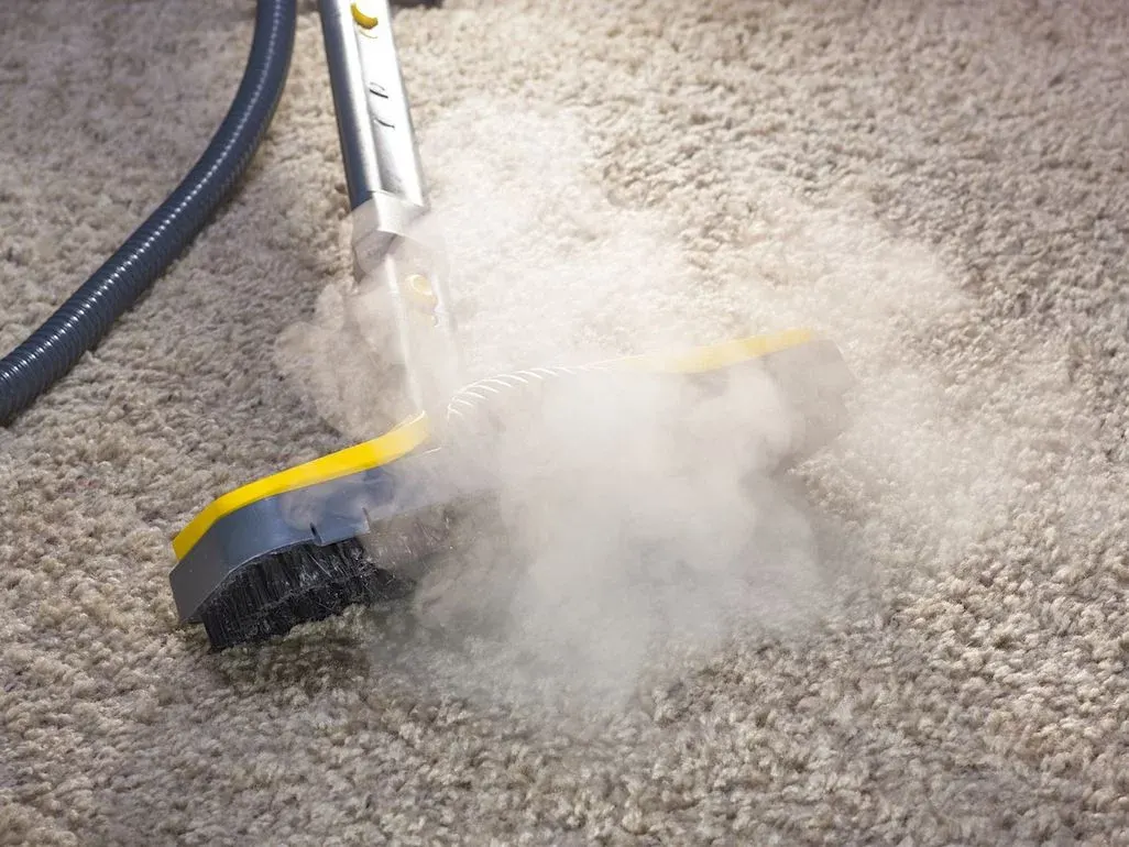 Grau-gelber Dampfreinigerkopf mit schwarzen Borsten stößt weißen Dampf auf hellem Teppich aus. Ein grauer Schlauch ist verbunden.