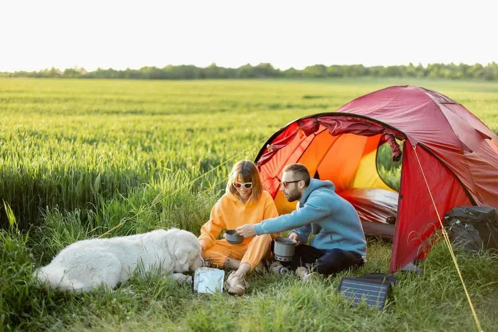 Paar campt mit einem großen weißen Hund in einem roten Zelt am Feldrand. Vorne rechts ist ein Solarpanel aufgestellt.