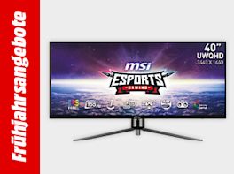 Bild mit hellgrauem Hintergrund und einem roten Streifen links und weißem Text "Frühjahrsangebote"; rechts im Bild eines Gaming-Monitors