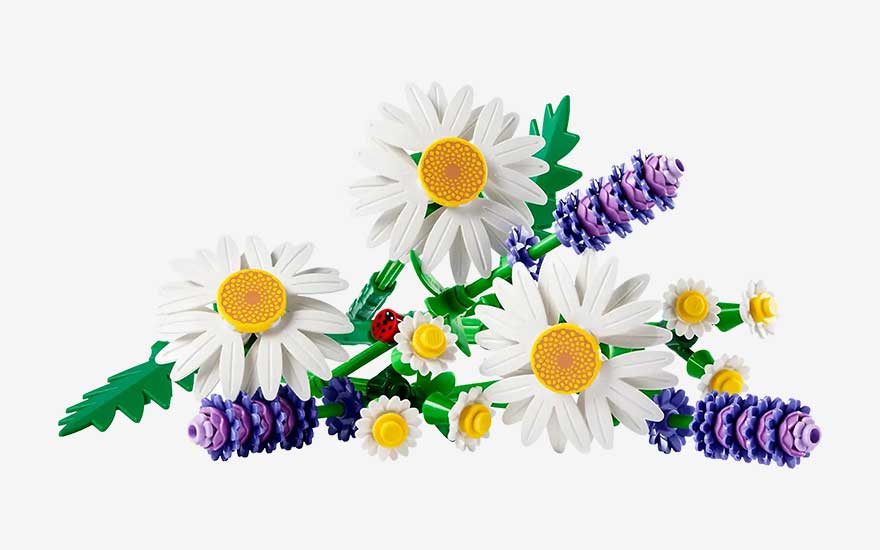 Un joyeux bouquet de marguerites blanches et de lavande violette, en briques, repose sur un fond blanc épuré.