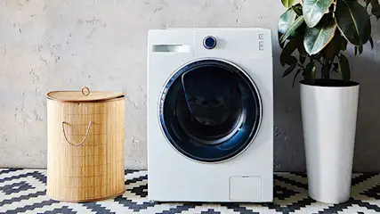A laundry room with a white washing machine, wicker hamper, and potted plant on a patterned rug.