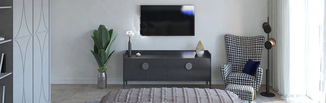 Living room view: TV above grey cabinet, patterned chair, floor lamp, plant, and striped bedspread.