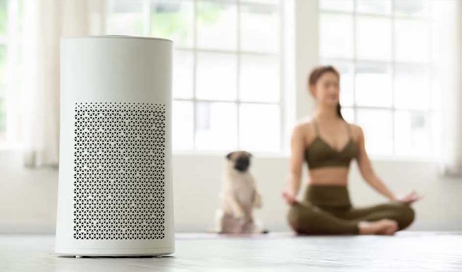 White air purifier stands in the foreground, while in the background a woman in sportswear sits in a yoga pose with her small dog beside her.