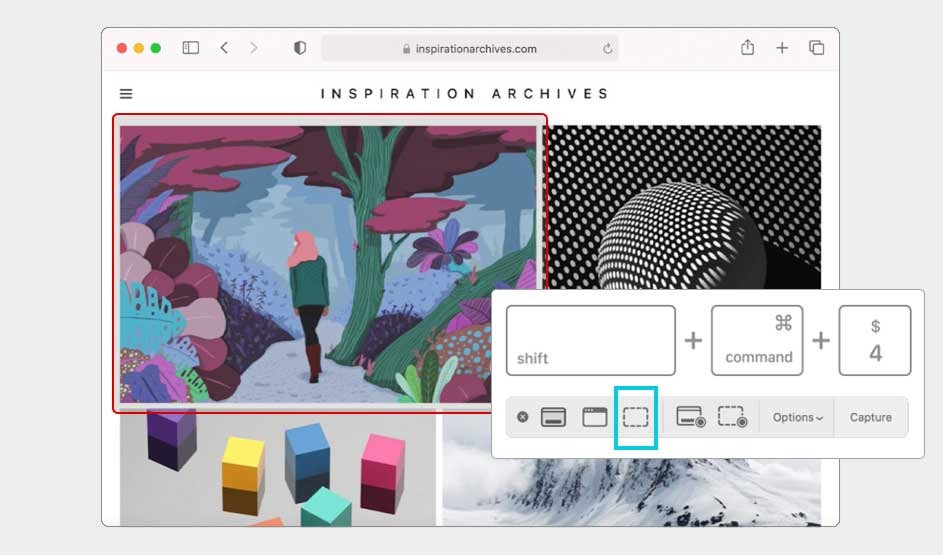 An Apple Mac shows Safari open on an art site. A selected image is outlined, while the screenshot tool highlights Shift+Command+4 for capture.