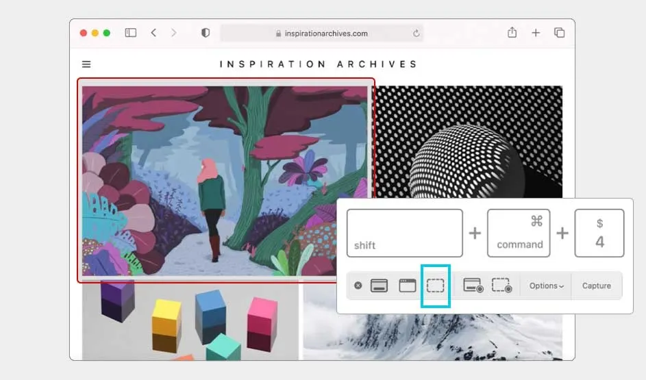 An Apple Mac shows Safari open on an art site. A selected image is outlined, while the screenshot tool highlights Shift+Command+4 for capture.