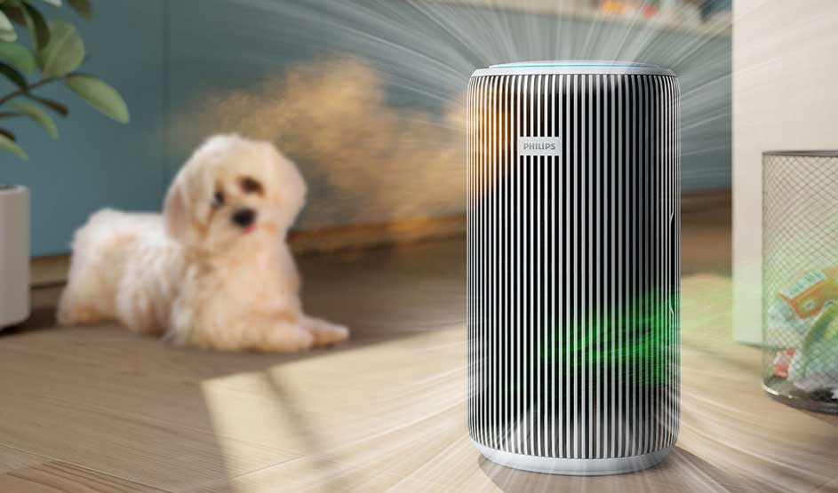 In a bright living room, a small dog rests on the floor as a striped Philips air purifier glows strongly, cleaning and circulating the air.