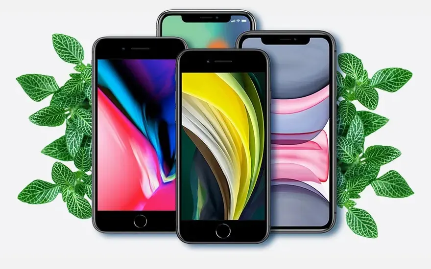Vier smartphones met kleurrijke schermen staan op een witte ondergrond, omringd door groene bladeren.