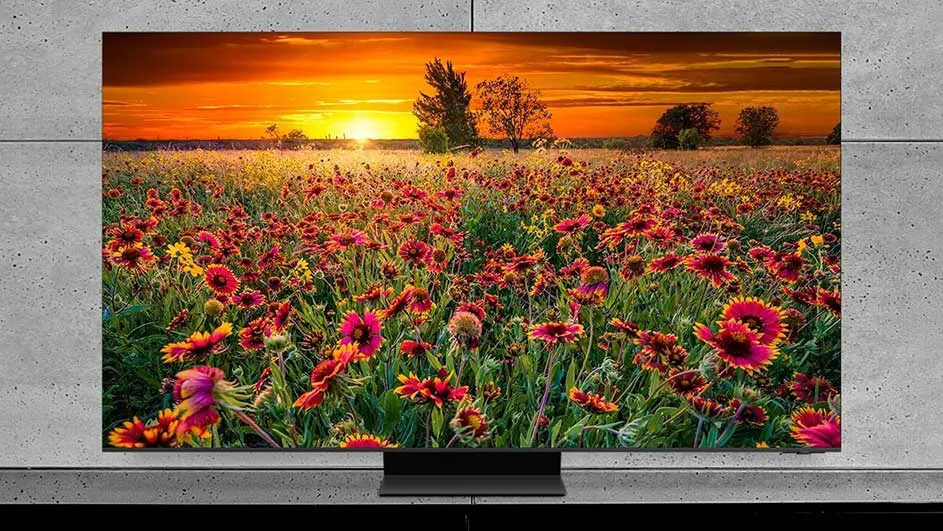 Écran TV affichant un champ de fleurs rouges et jaunes au coucher du soleil, avec des arbres en arrière-plan.