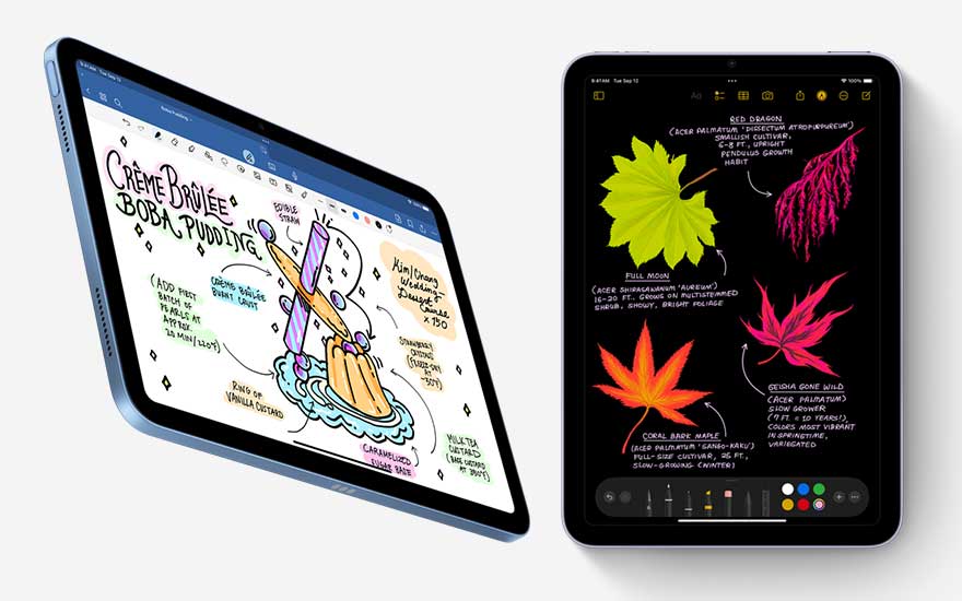 Twee iPads tonen digitale tekeningen: één van een nagerecht en de andere van bladeren met botanische details op een zwarte achtergrond.