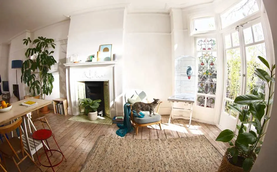 Salon lumineux avec parquet, cheminée blanche, plantes et chat sur une chaise. Une cage à oiseaux est près de la fenêtre.
