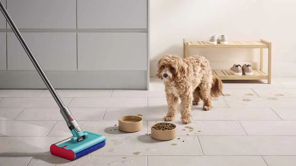 Un chien près de bols sur un sol carrelé avec une serpillère électrique rouge et bleue. Un meuble à chaussures en bois est visible.