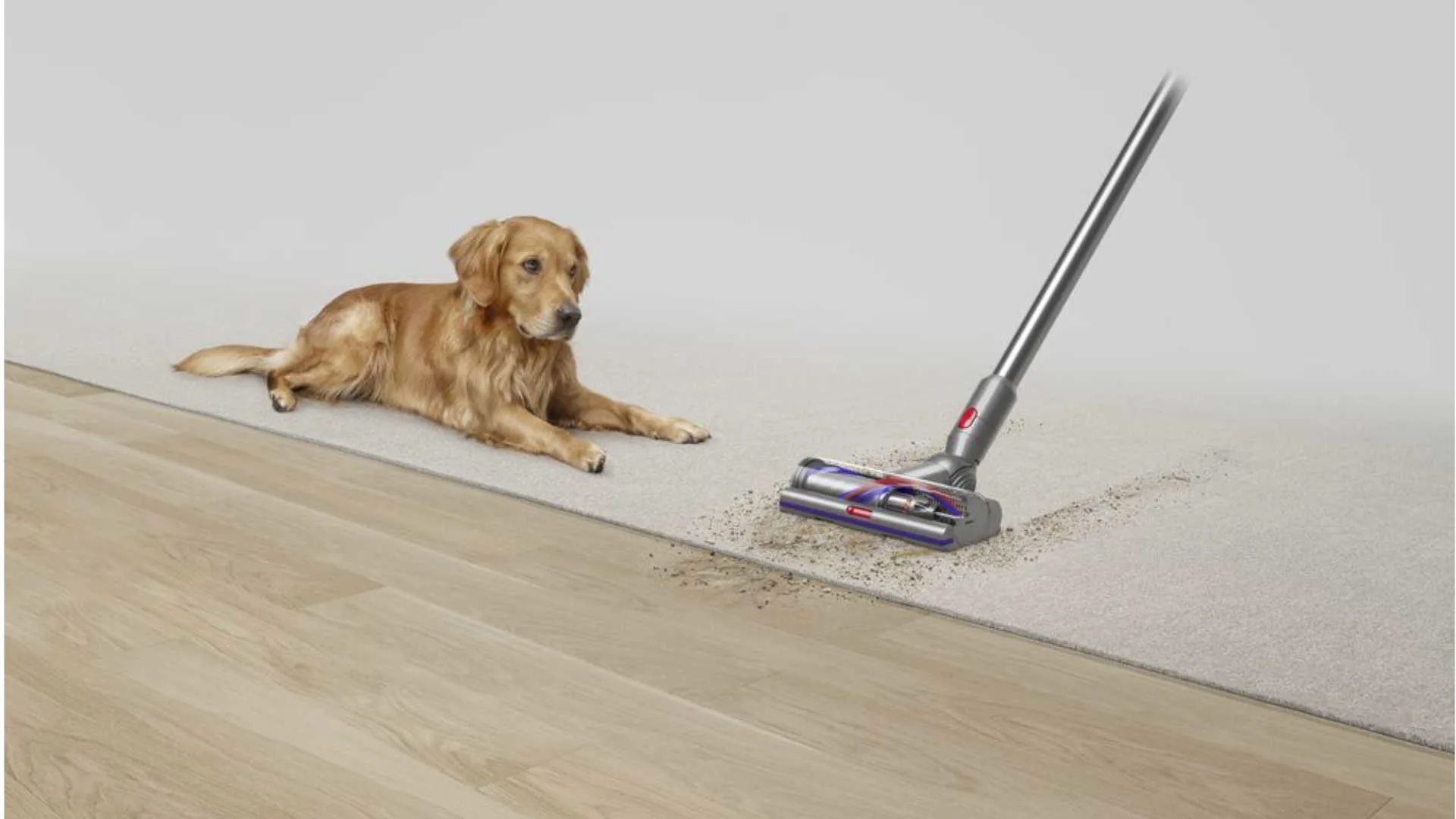Un chien est allongé sur un tapis beige près d'un aspirateur. Le sol est en bois clair, le mur est blanc.