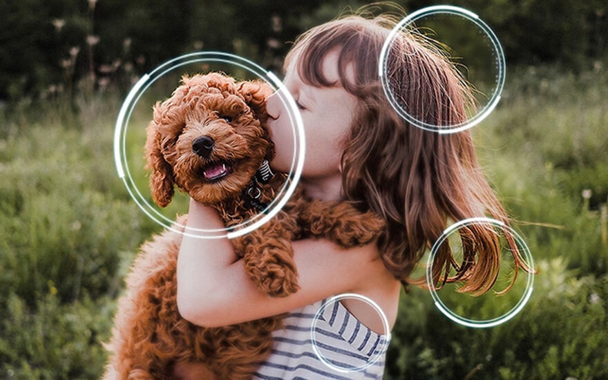 Une personne tient un chien brun. L'arrière-plan est verdoyant. Des cercles blancs sont superposés sur l'image.