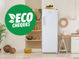 Frigo avec EcoCheques