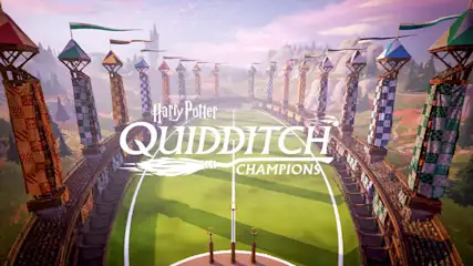 Terrain de Quidditch : poteaux, drapeaux, gradins, gazon vert. Titre "Harry Potter Quidditch Champions".