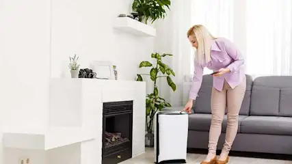 Salon lumineux avec cheminée blanche, canapé gris et purificateur d'air blanc. Plantes vertes décoratives.